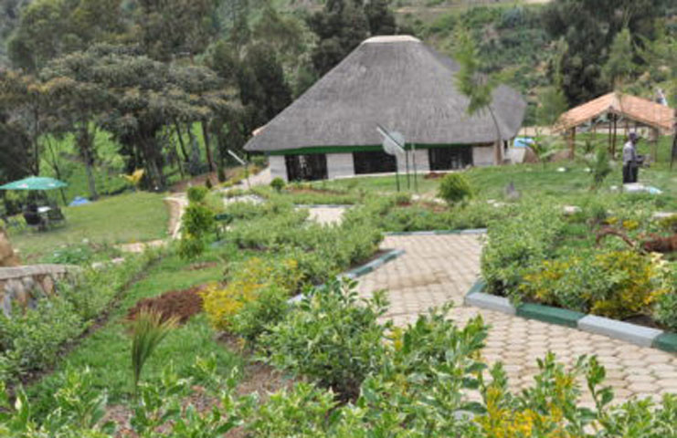 Nyungwe Nziza Eco lodge