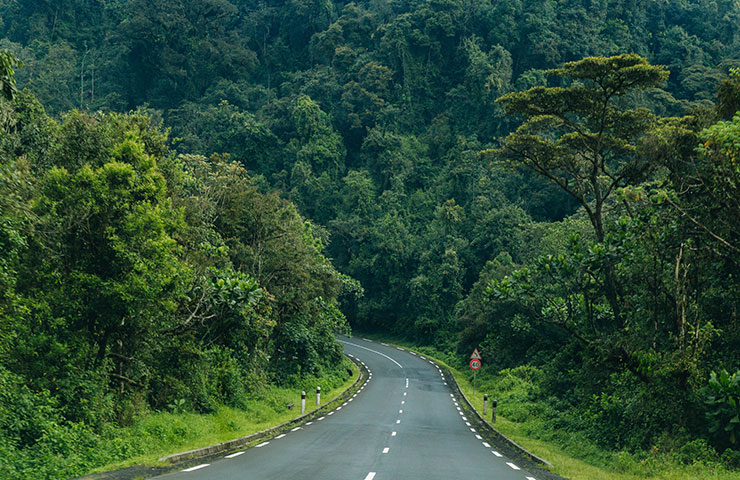 About Nyungwe National Park