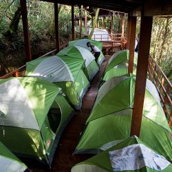 Camping experience Nyungwe Forest